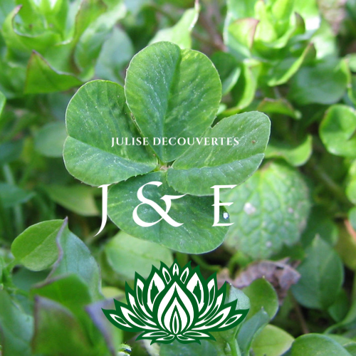 Julise voyages et découvertes